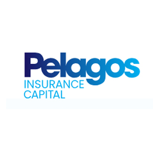 Fidelis Insurance