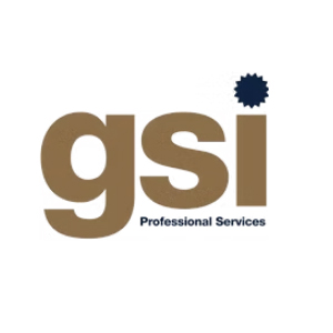 GSI Professional Services Pty Ltd