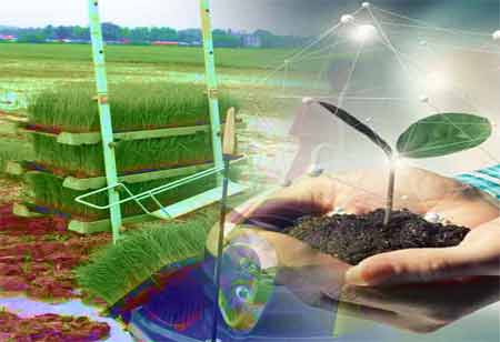 Environmental Liability Insurance: A Shield for Businesses in a Green Europe