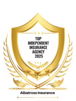 Top Independent Insurance Agency 2025